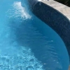 Pool Remodeling 2018 (32)